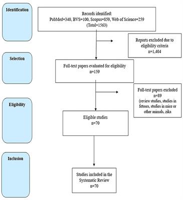 Time to Evaluate the Clinical Repercussions of Zika Virus Vertical Transmission? A Systematic Review